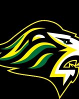 QACHS Lion Logo